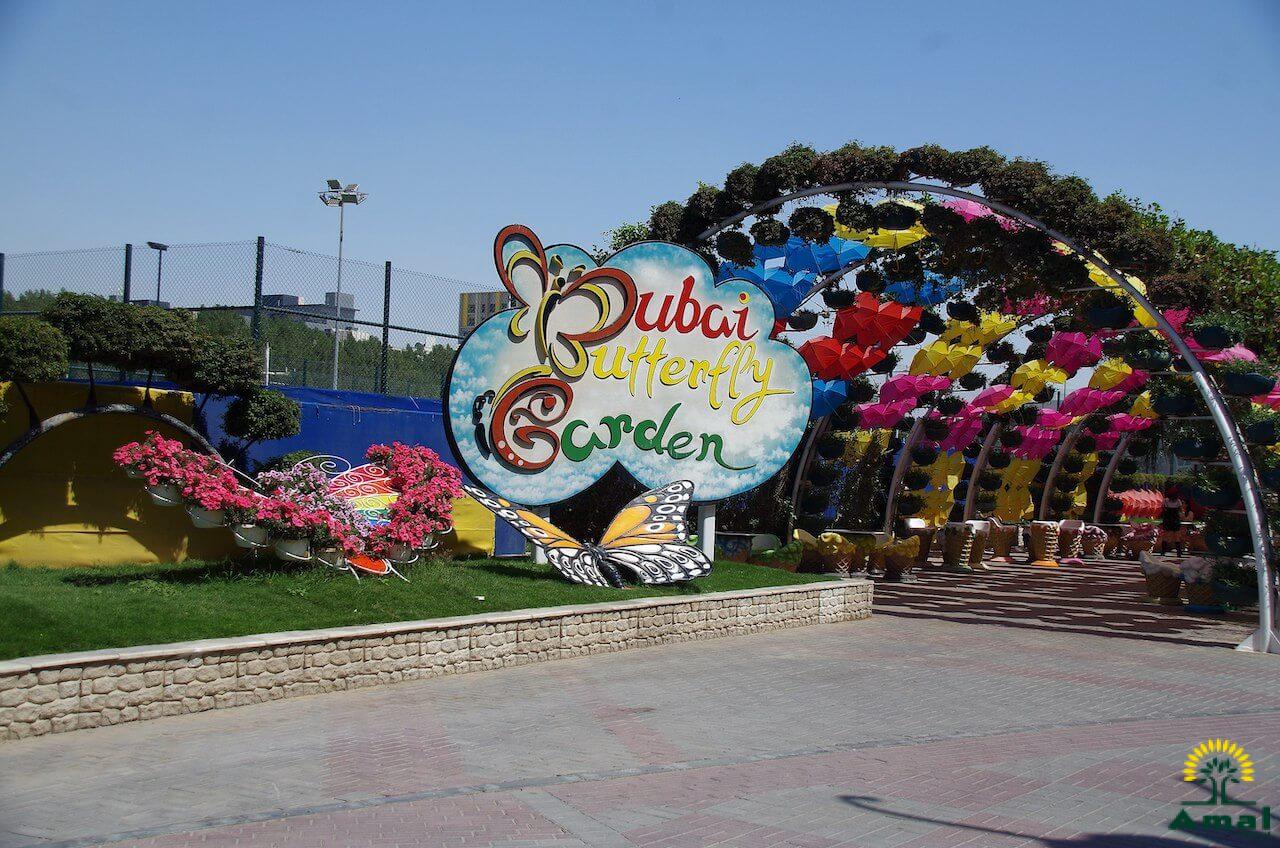 Global Village with Butterfly Garden and Miracle Garden Combo Tickets