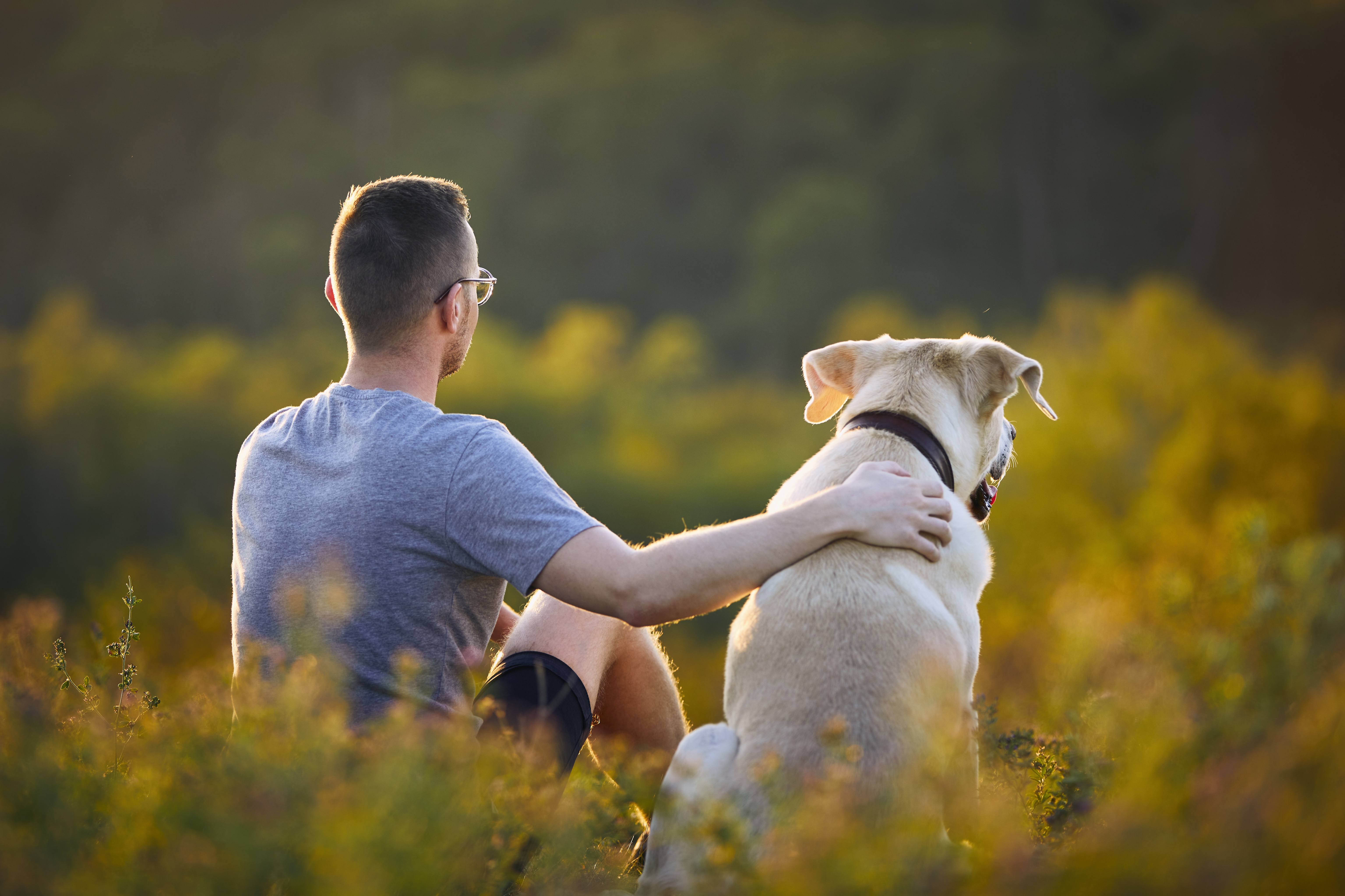 Pawfect Playdate: Dogs Social Hour