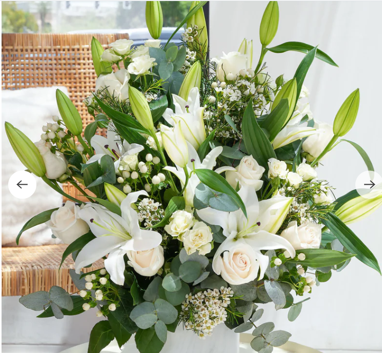 Elegant White Lily
