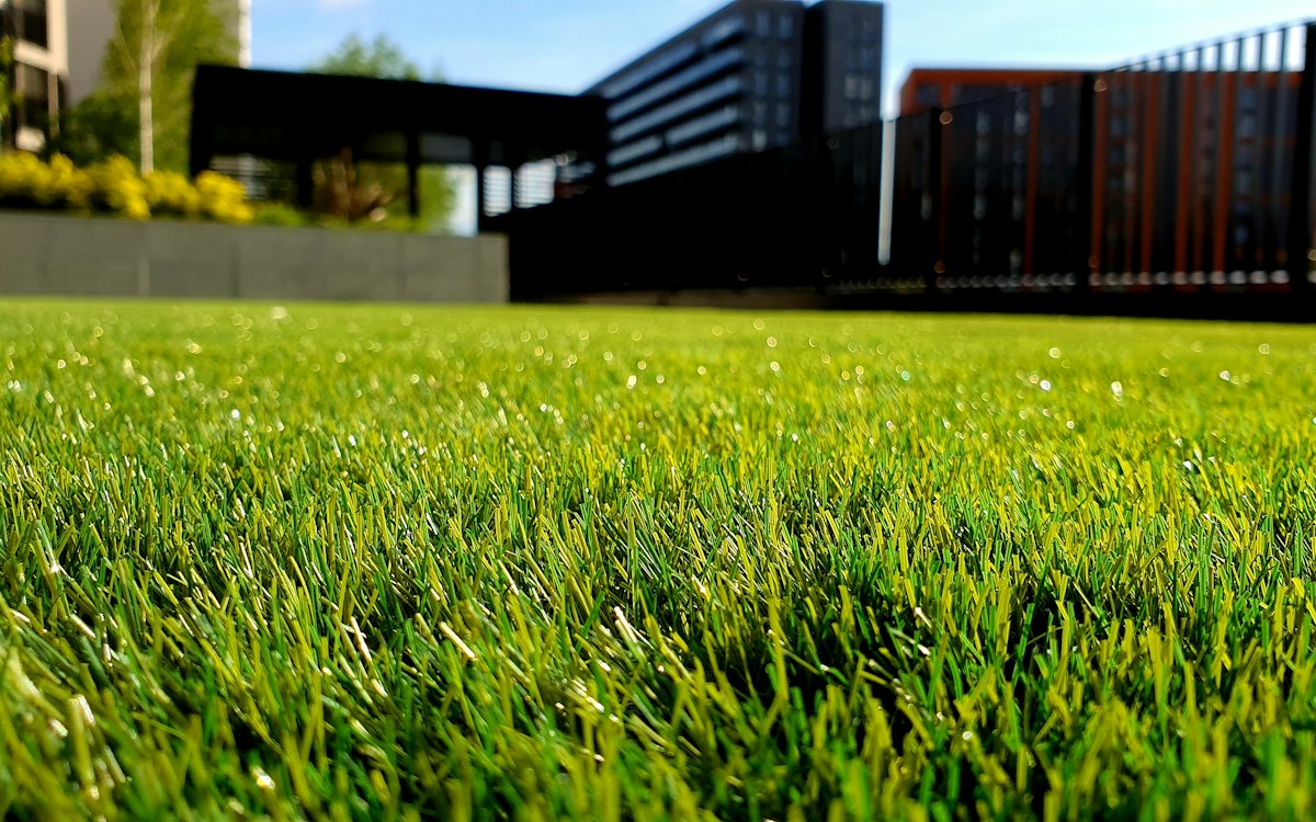 Lawn and Hedge Trim