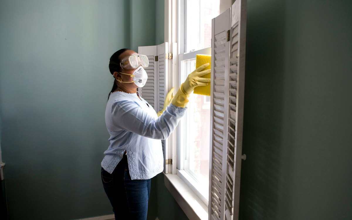 Weekly Home Cleaning